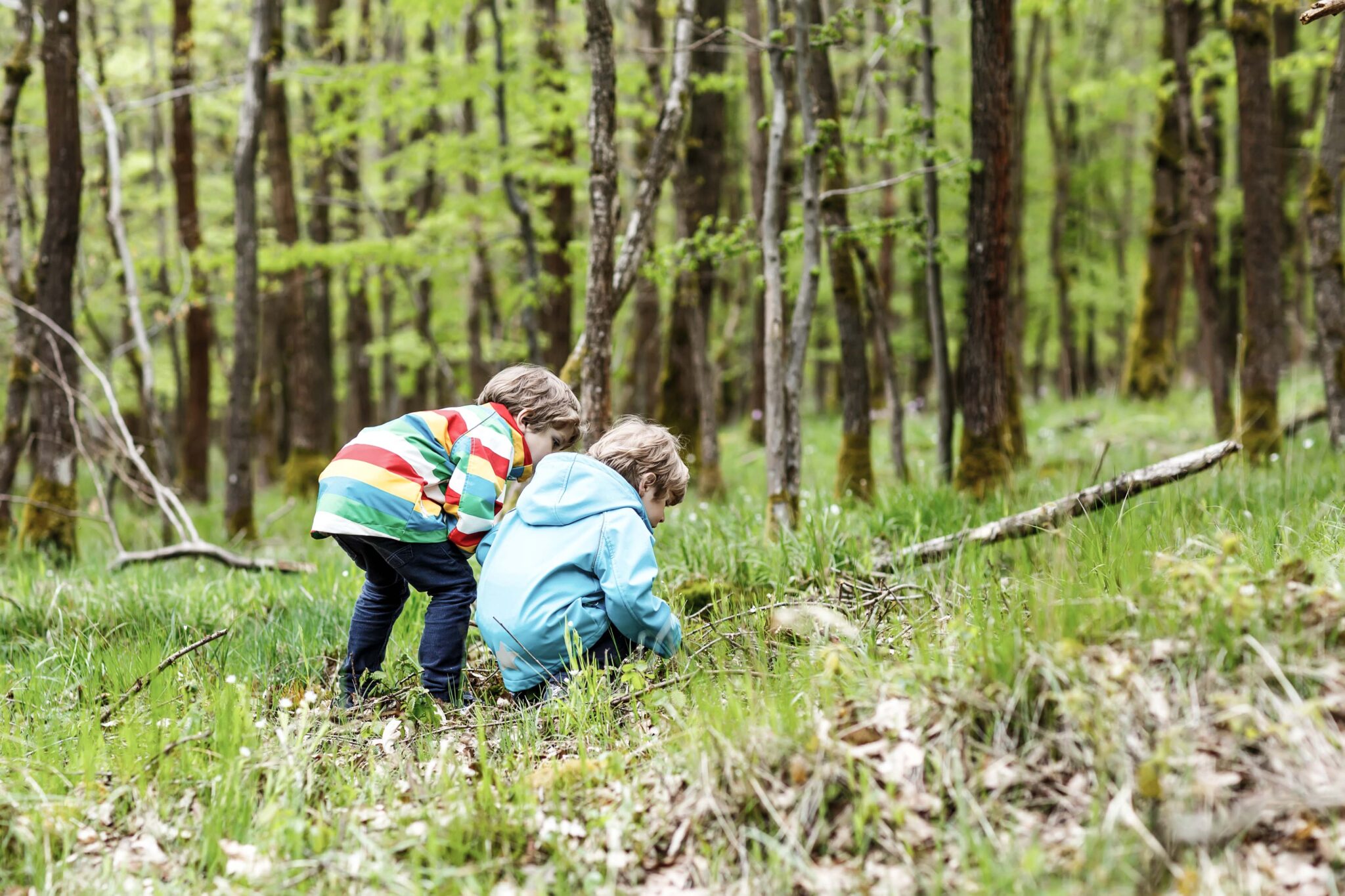 Verdens beste lekeplass